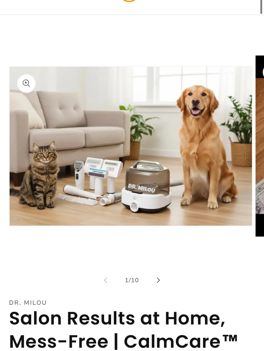 CalmCare TM Cordless Vacuum